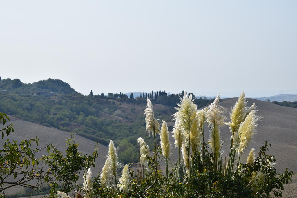 Appartamento Crete Senesi Castelnuovo Berardenga Exterior foto