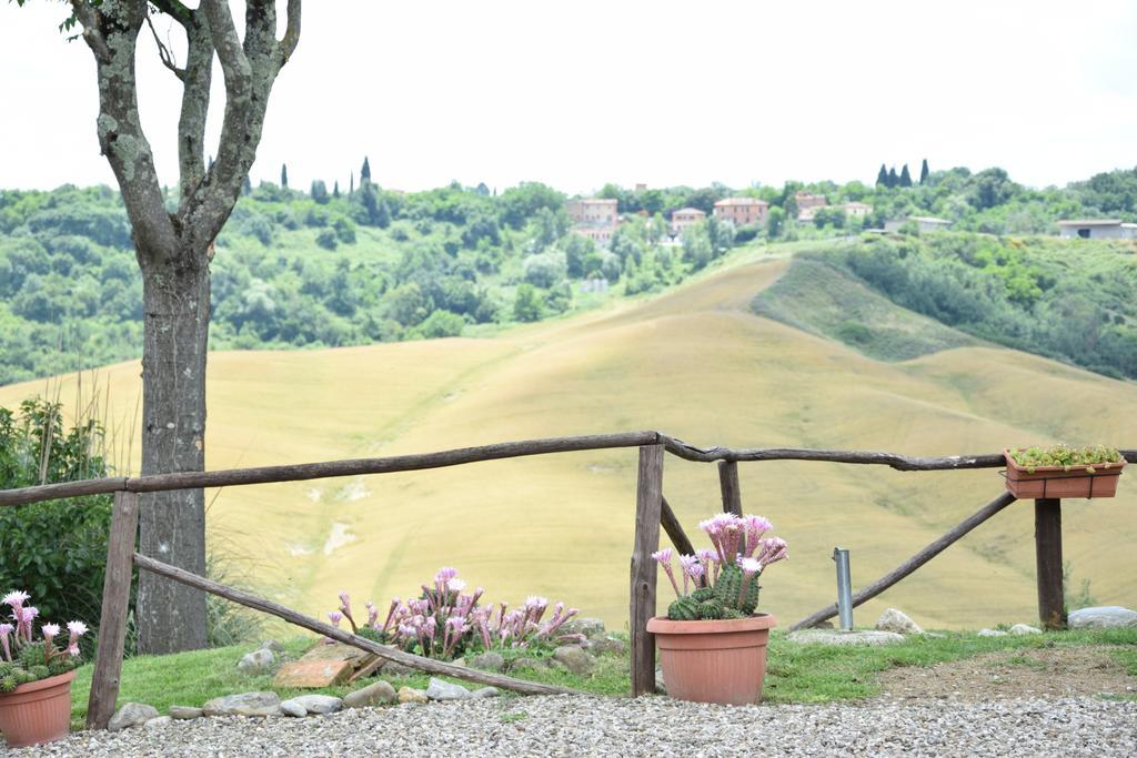 Appartamento Crete Senesi Castelnuovo Berardenga Exterior foto